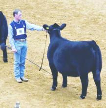 Dalton Birdwell competed last month at the 2024 Fort Worth Stock Show, winning Showmanship Champion in the Junior Angus Heifer Show. Contributed photo