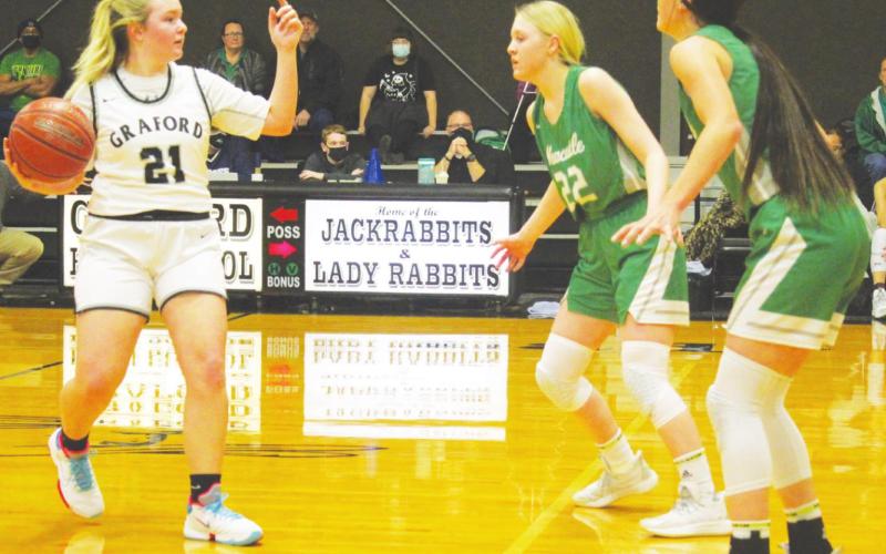 Lady Rabbits fall to Newcastle