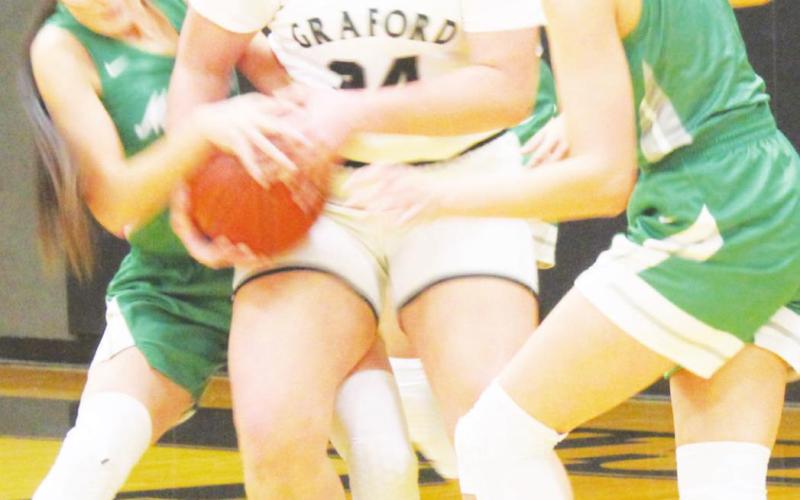 Lady Rabbits fall to Newcastle