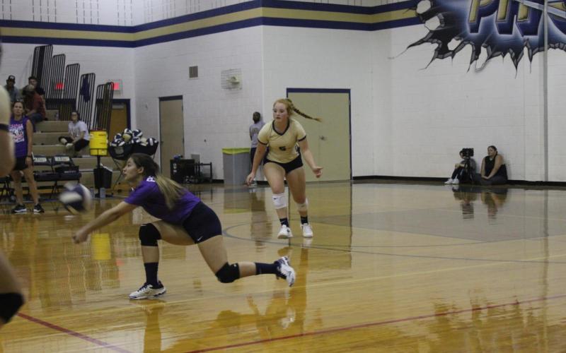 Perrin opens with sweep of Bluff Dale