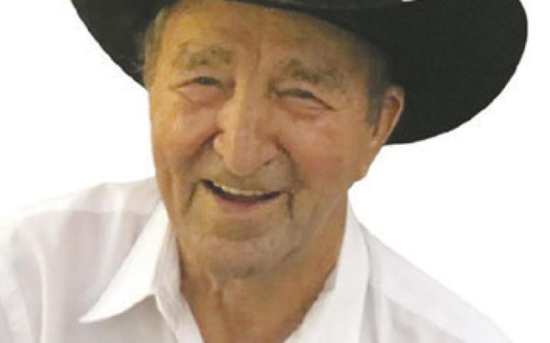 Lewis Fields