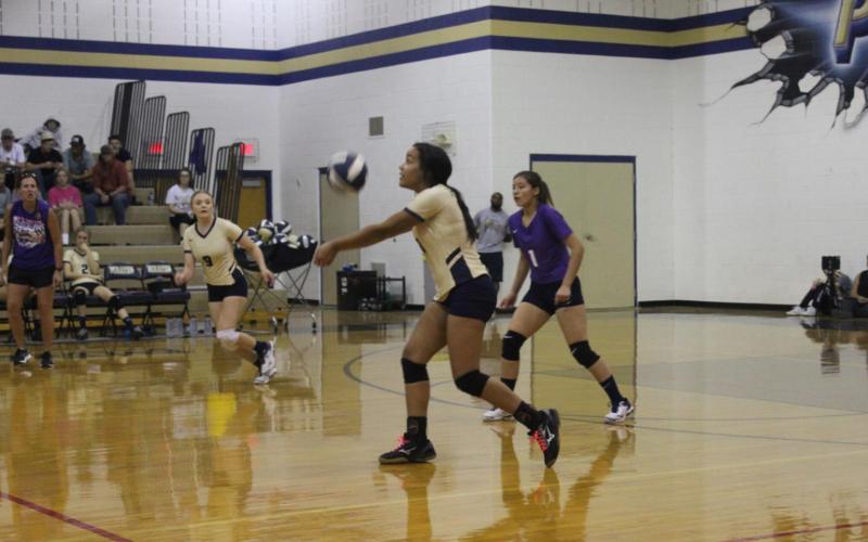 Perrin opens with sweep of Bluff Dale