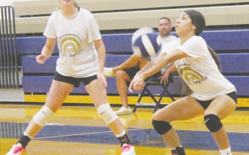 Lady Pirates fall to Poolville