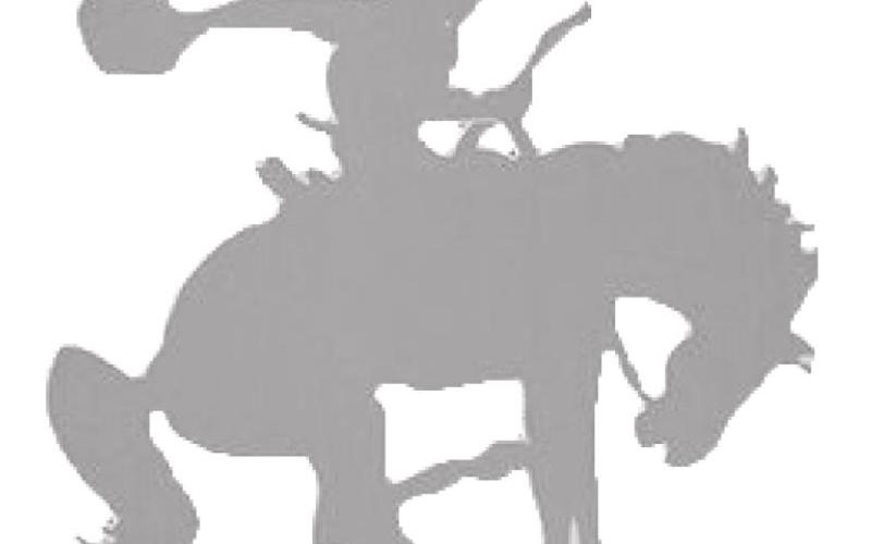 Bryson, Perrin qualify several for regional meet
