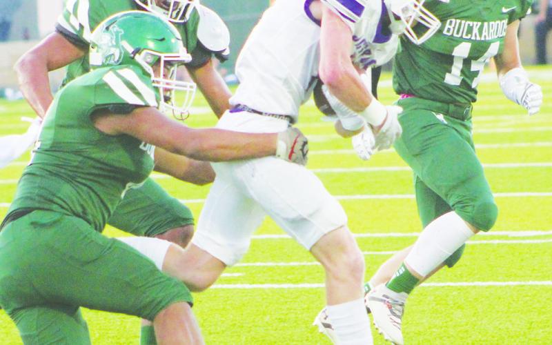 Tigers lose season opener