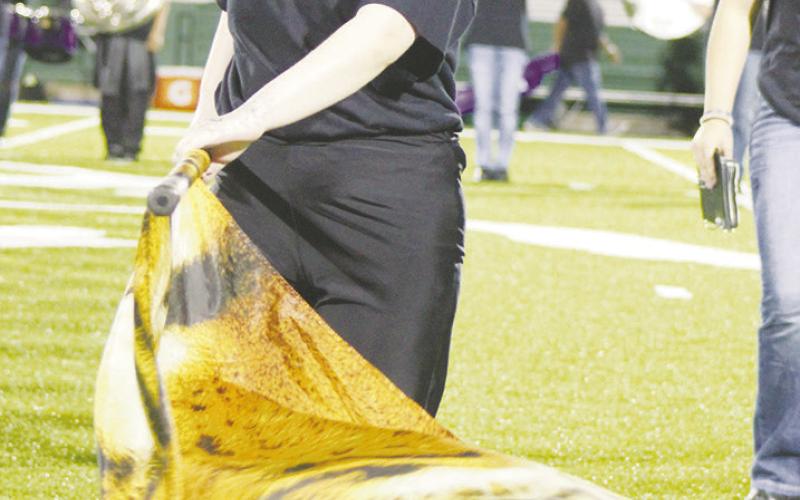 Tigers drop season opener