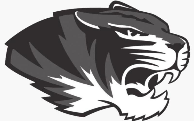 Tigerettes move to 8-1 in 7-3A with 6-1 victory over WF City View