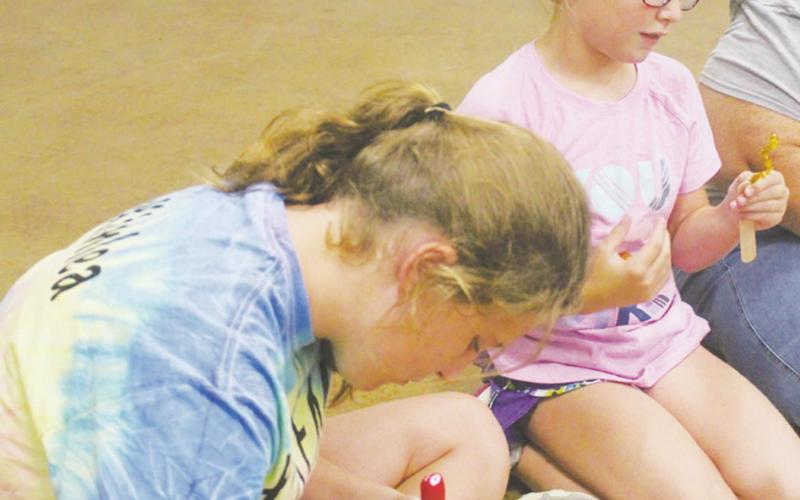 Summer Ag Extension Camps