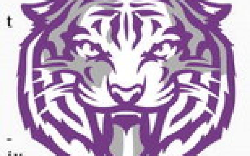Tigers rout Merkel