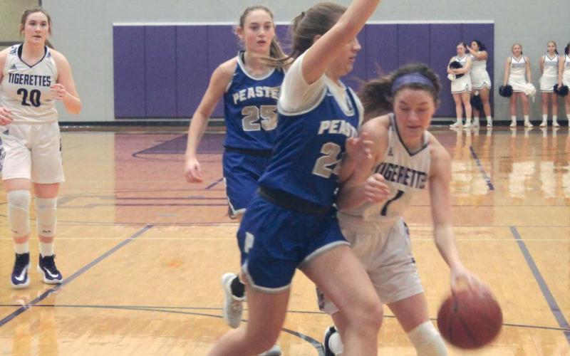 Jacksboro, Bryson release basketball schedules