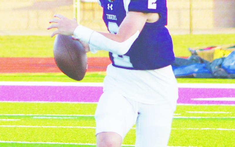Tigers rout Bearcats, 41-0