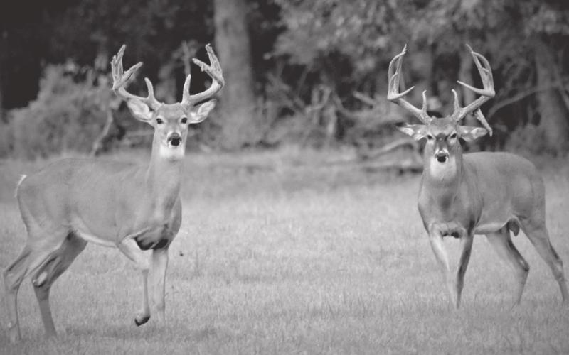 Try Something New In The Outdoors