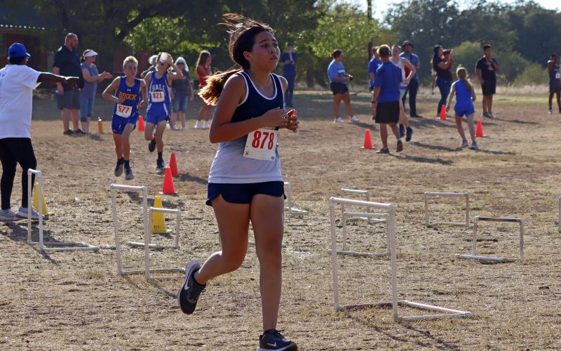 (KYLIE BAILEY | JACKSBORO HERALD-GAZETTE) The Perrin-Whitt CISD cross country teams competed Wednesday, Sept. 27 at the Brock Invitational. 