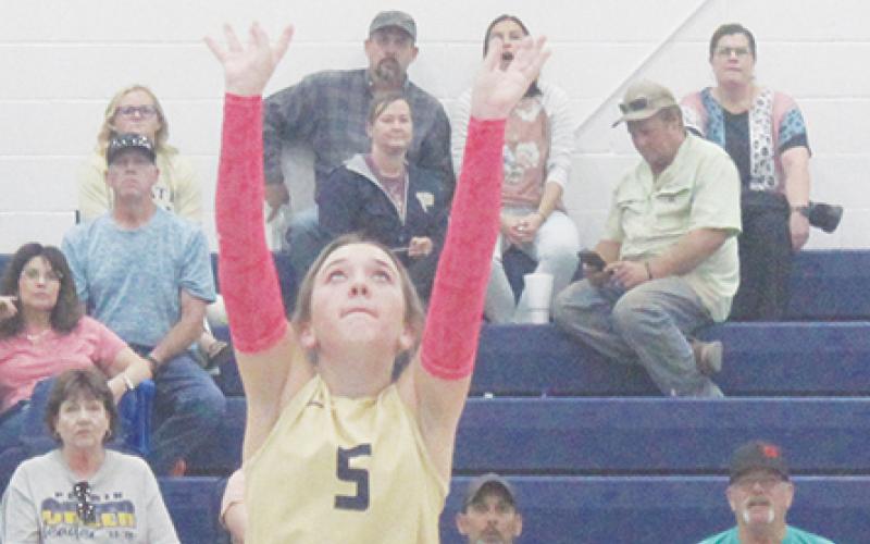 Perrin's Mackenzie Green (5) sets the ball during game one of the match Tuesday, Oct. 8 with Bryson. Perrin swept the Cowgirls in three games. (Photo/Brian Smith)