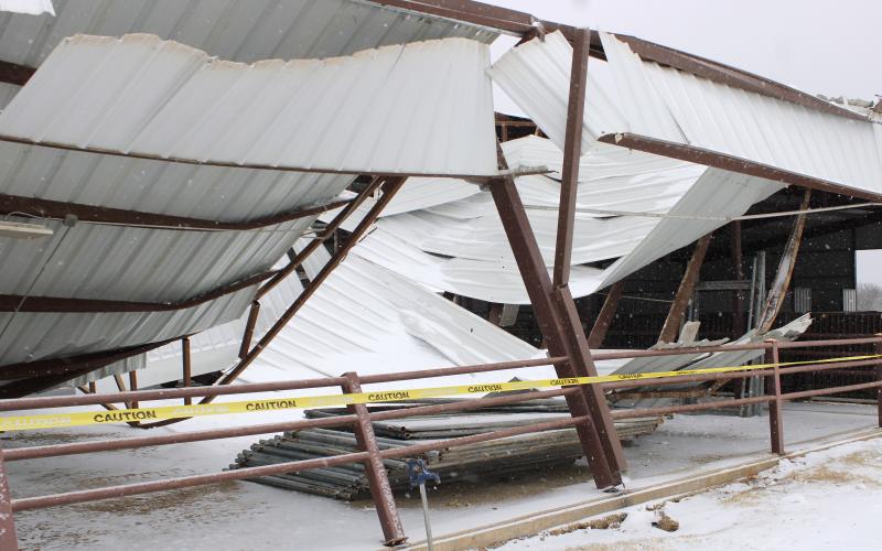 The beef pavilion at the Jack County Youth Fair grounds collapses under the weight of ice and snow overnight Friday, Jan. 23. A declaration of disaster was issued on Saturday, Jan. 24 for Jack County as officials continued to assess damages to property and infrastructure caused by the winter storm. Photo/Ashley Anderson