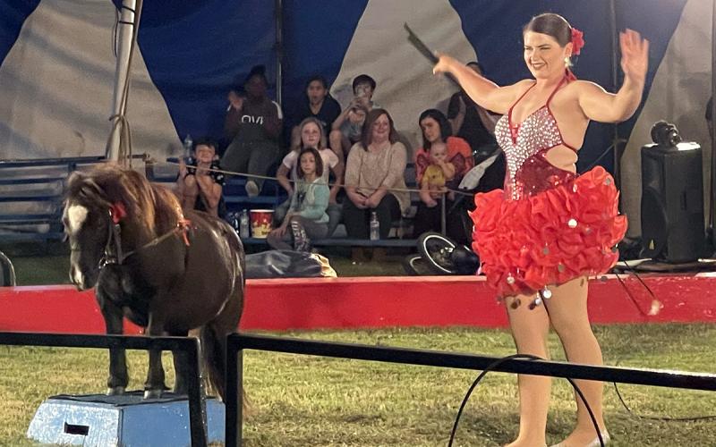 A trainer performs with miniature horses at a Culpepper and Merriweather Circus show in 2021. The circus comes to Jacksboro Monday, March 23. Archive Photo