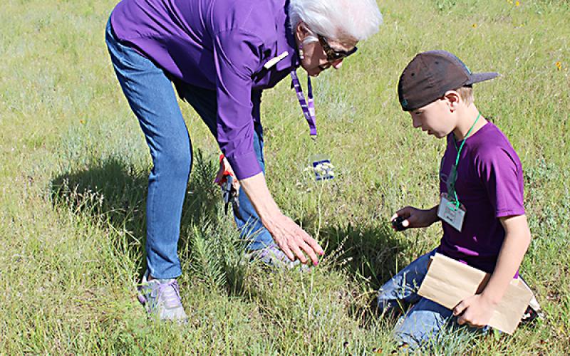 Martha Salmon helps Evan Walker identify a wildflower. Fourth graders spent a portion of the day as junior naturalists — observing, collecting, journaling, drawing and sharing information with classmates on plants they found at Richards Ranch.