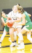 Lady Rabbits fall to Newcastle