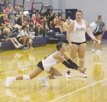 Summer volleyball falls to Petrolia