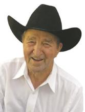 Lewis Fields