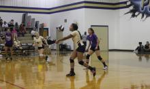Perrin opens with sweep of Bluff Dale