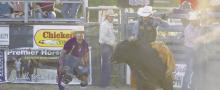 The Jack County Sheriff’s Posse Arena will be used for an event, as bullriding comes to town Saturday, Sept. 14. File photo