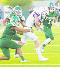 Tigers lose season opener