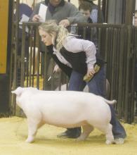 Jack County Youth Fair happening this week