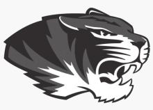 Tigerettes move to 8-1 in 7-3A with 6-1 victory over WF City View