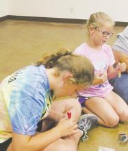 Summer Ag Extension Camps