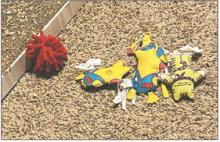 Not only is food needed at the local animal shelter, but so are toys, bedding, towels and other items. Photo/Brian Smith