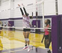 Two-a-day workouts begin in Jacksboro