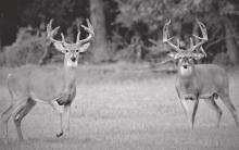 Try Something New In The Outdoors