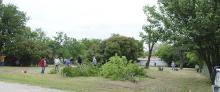 Volunteers clean up the lots at the southwest corner of South 3rd and Pine streets Saturday. Approximately 25 to 30 people came out to trim trees, clear brush, mow and more for the site of Jacksboro’s soon-to-be newest park. Courtesy / Terry McDaniel
