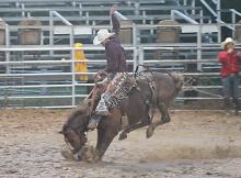 A saddle bronc competitor rides in the mud during last year's Jack County Sheriff's Posse Rodeo.