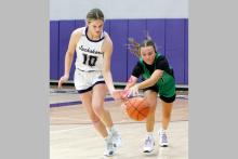 Emory Inman steals the ball from a Lady Hawks player Tuesday, Jan. 6. Inman scored four points on two midrange jumpshots in the Tigerettes’ 38-28 victory over the Lady Hawks. Photo/Ashley Anderson